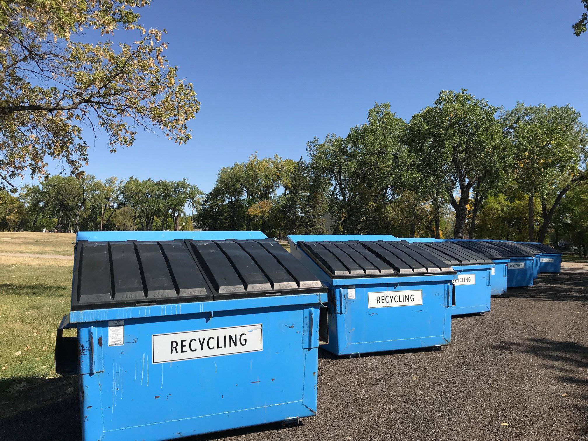 ♻️ What’s Happening with Recycling in Brandon? Challenges and Improvements